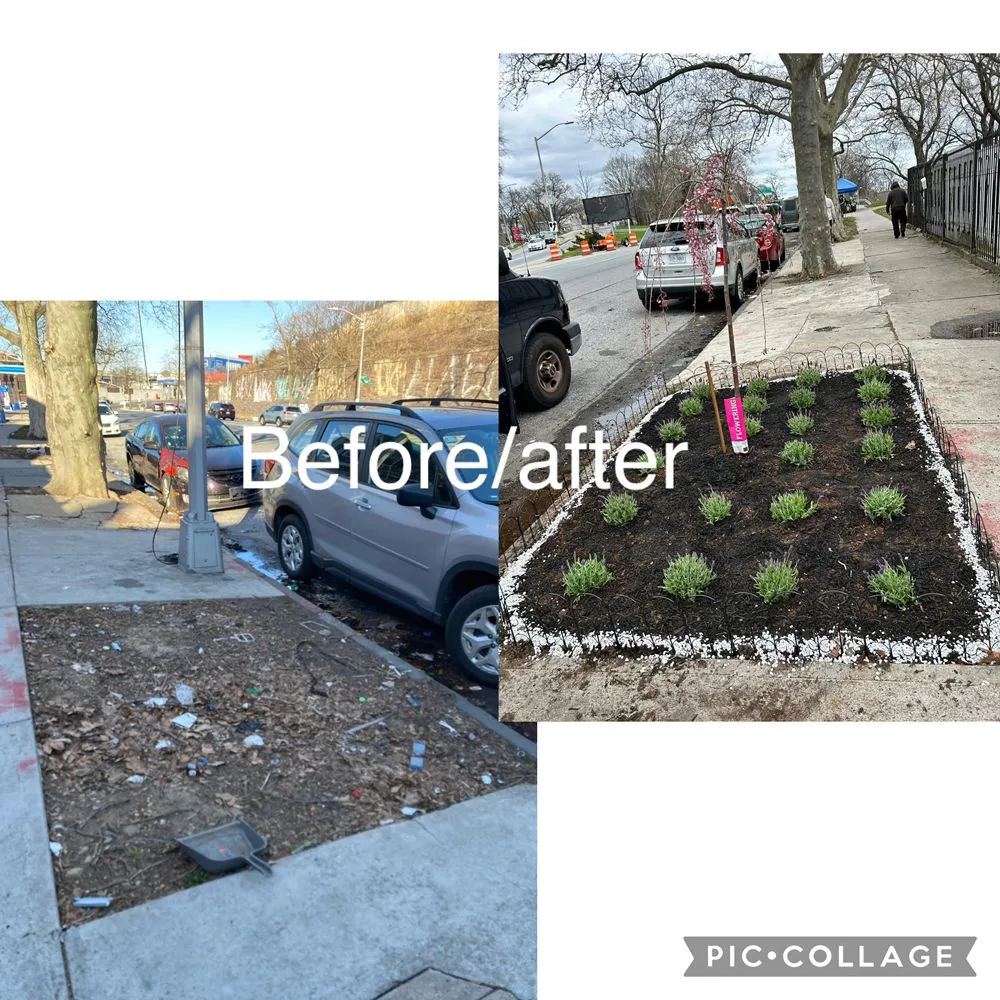 Professional lawn mowing service experts serving New York, NY - Rakh Corporation