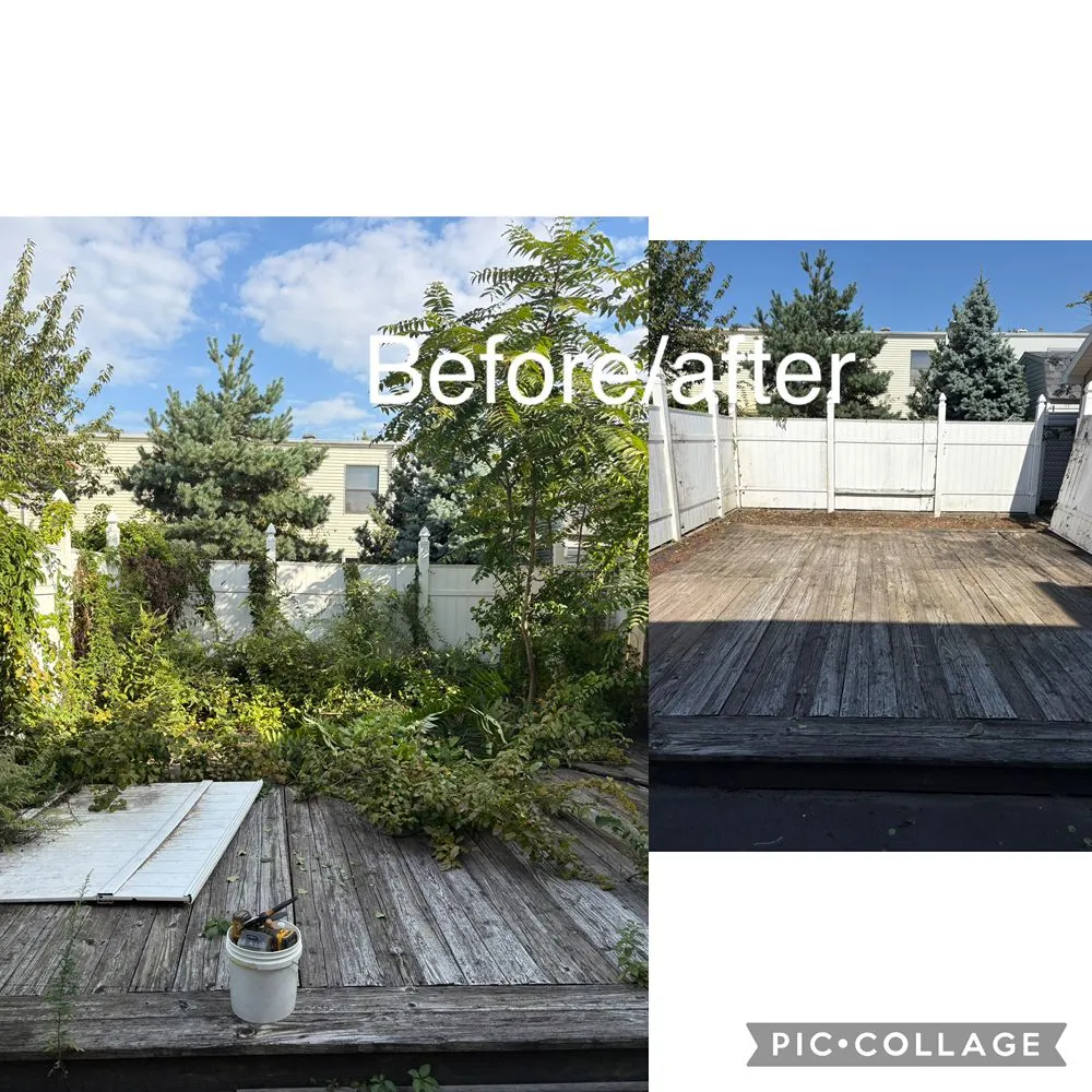 Reliable landscaping services in New York, NY - Rakh Corporation