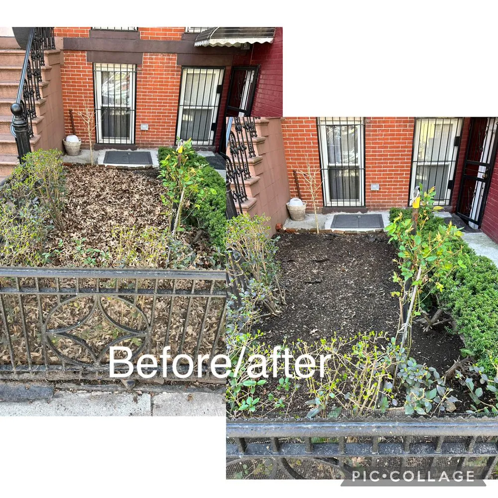 Top-rated residential landscaping in New York, NY - Rakh Corporation