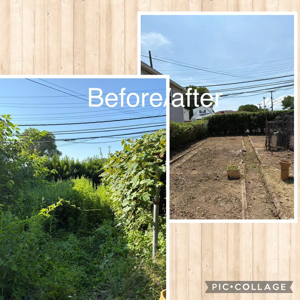 Local landscaping services with custom design across New York, NY - Rakh Corporation