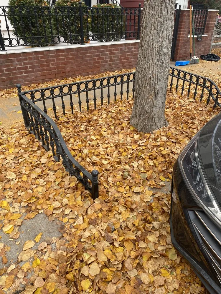 Custom yard maintenance for outdoor upgrades across New York, NY - Rakh Corporation