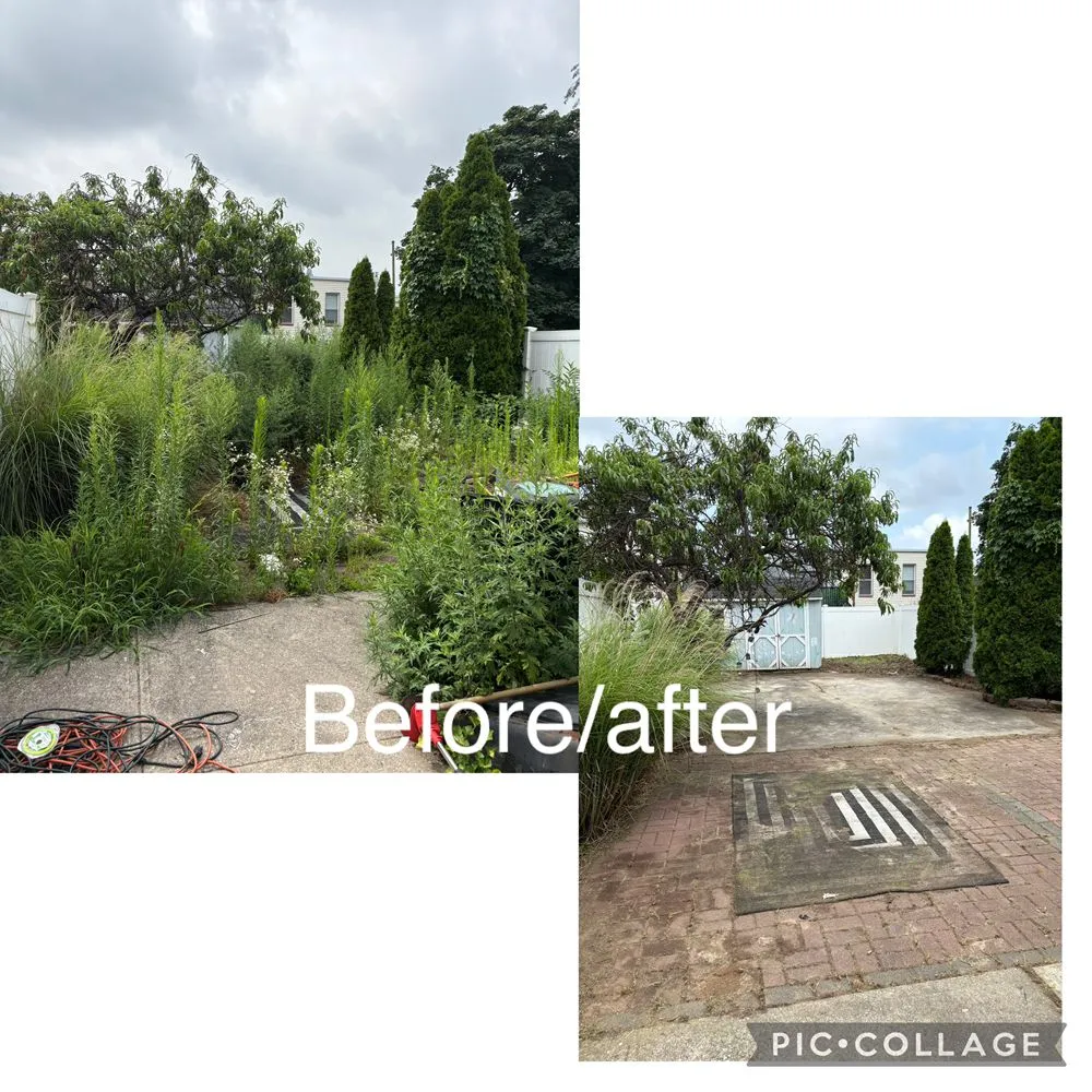 Professional landscaping services experts serving New York, NY - Rakh Corporation