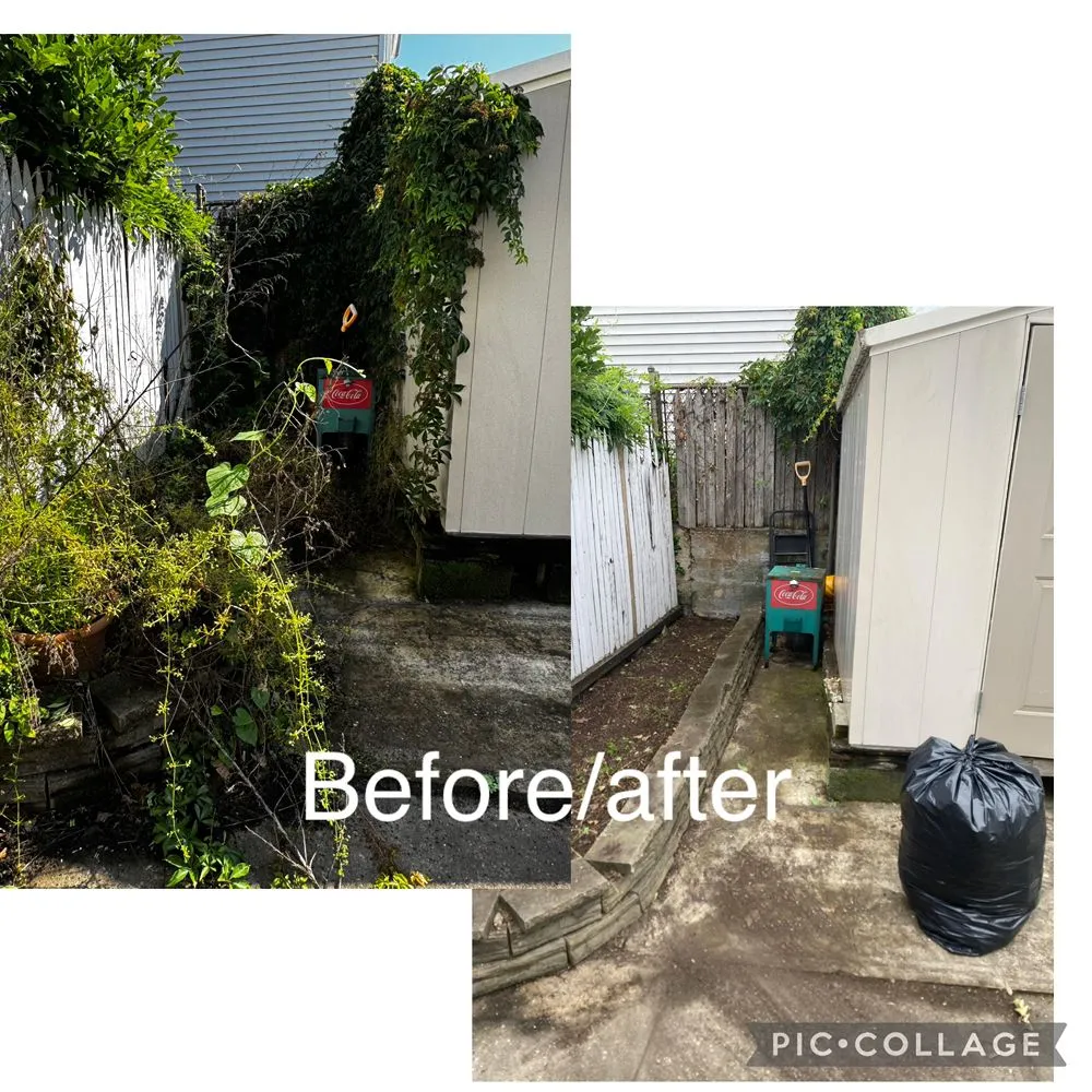 Affordable yard maintenance near you in New York, NY by Rakh Corporation