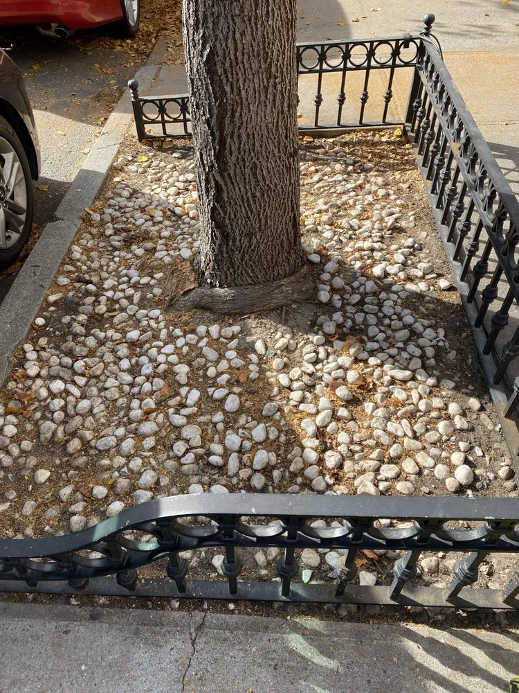 Local residential landscaping in New York, NY by Rakh Corporation