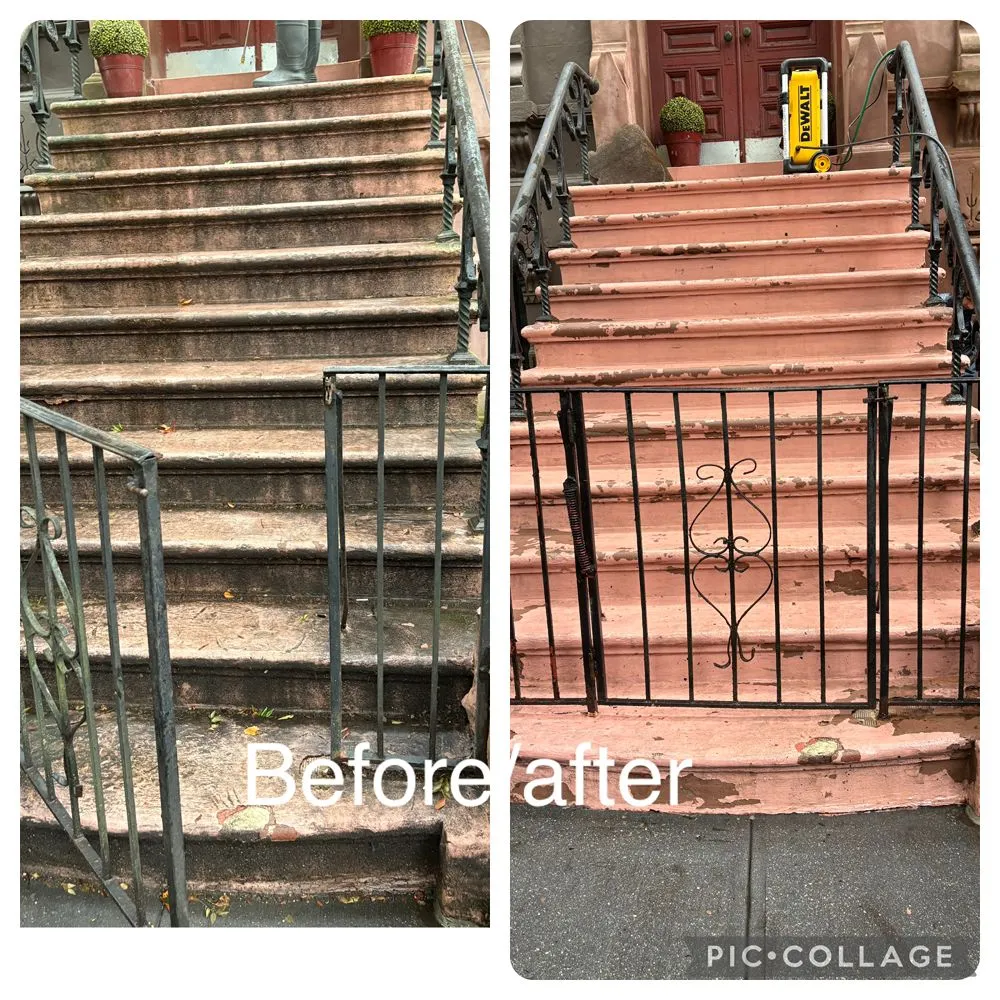 Affordable yard cleanup service experts serving New York, NY - Rakh Corporation