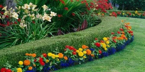 Top-rated landscaping services in Tucson, AZ by Rakim & Sons Get it Done