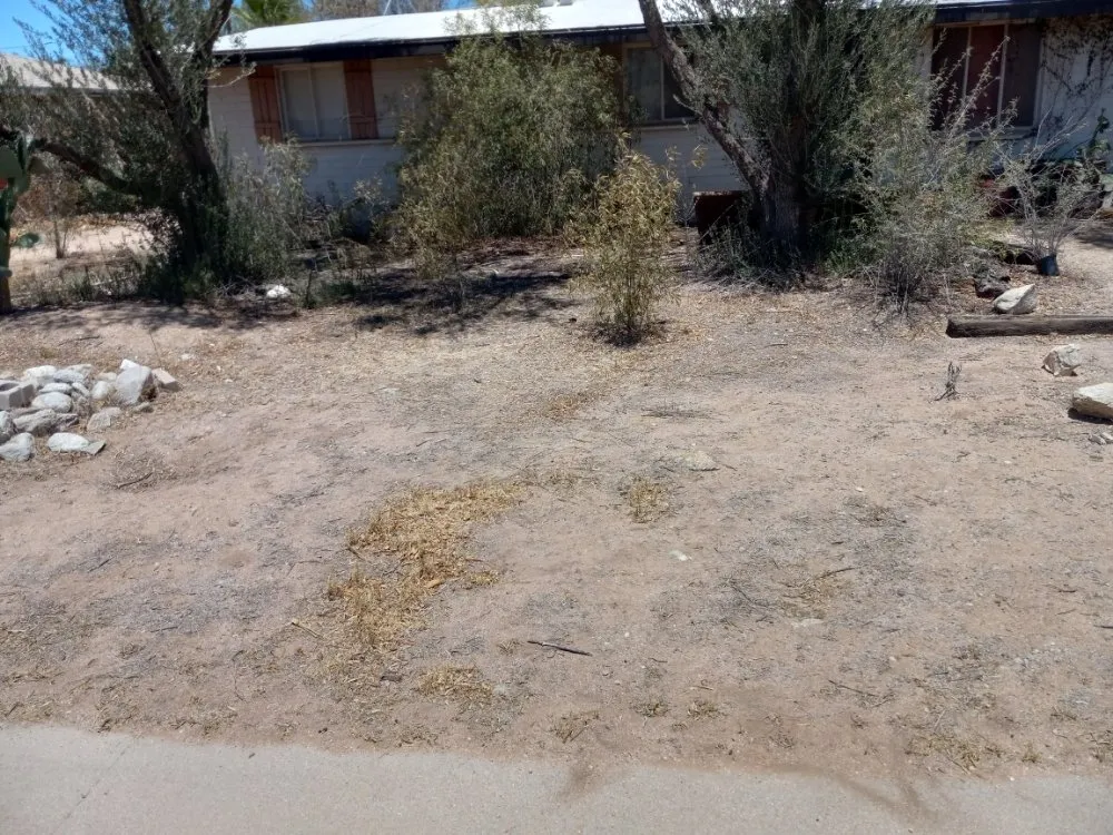 Expert residential landscaping near you in Tucson, AZ by Rakim & Sons Get it Done