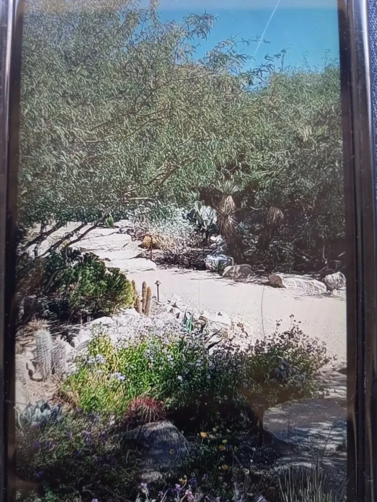 Affordable yard maintenance for year-round maintenance across Tucson, AZ - Rakim & Sons Get it Done