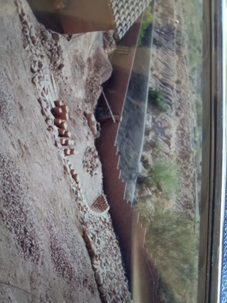 Top-rated lawn mowing service in Tucson, AZ - Rakim & Sons Get it Done