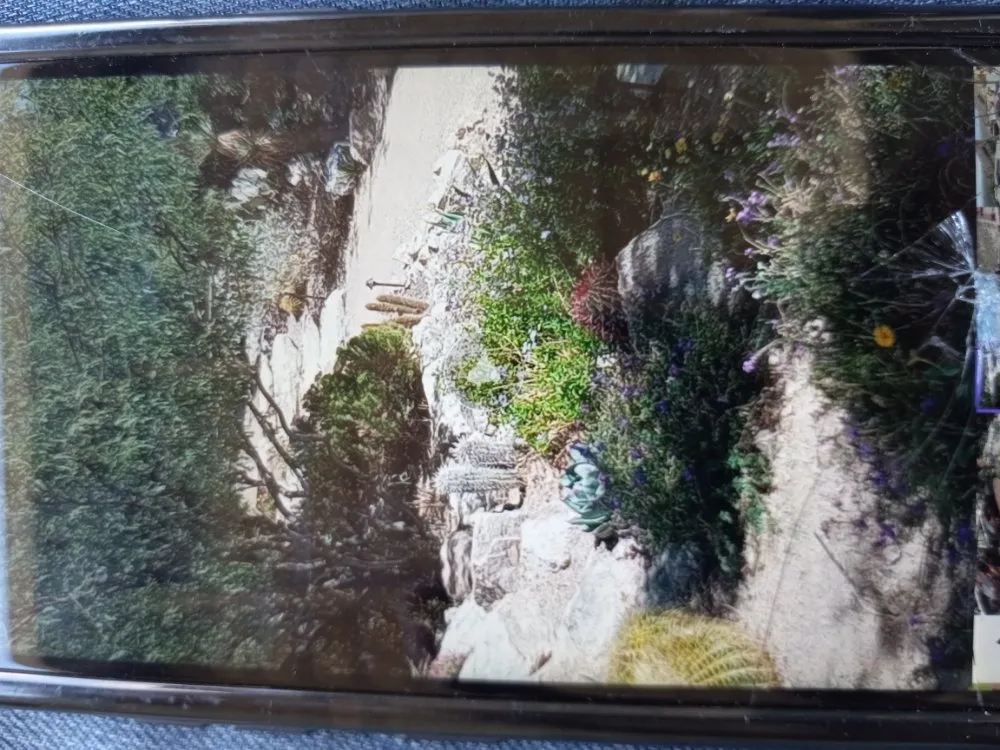 Trusted yard maintenance experts serving Tucson, AZ - Rakim & Sons Get it Done