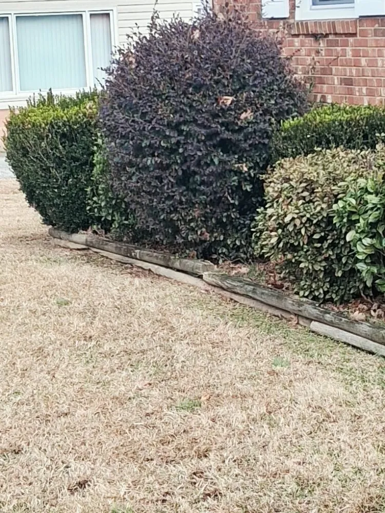 Reliable lawn mowing service for residential properties across Greensboro, NC - Raking It In Labor Solutions