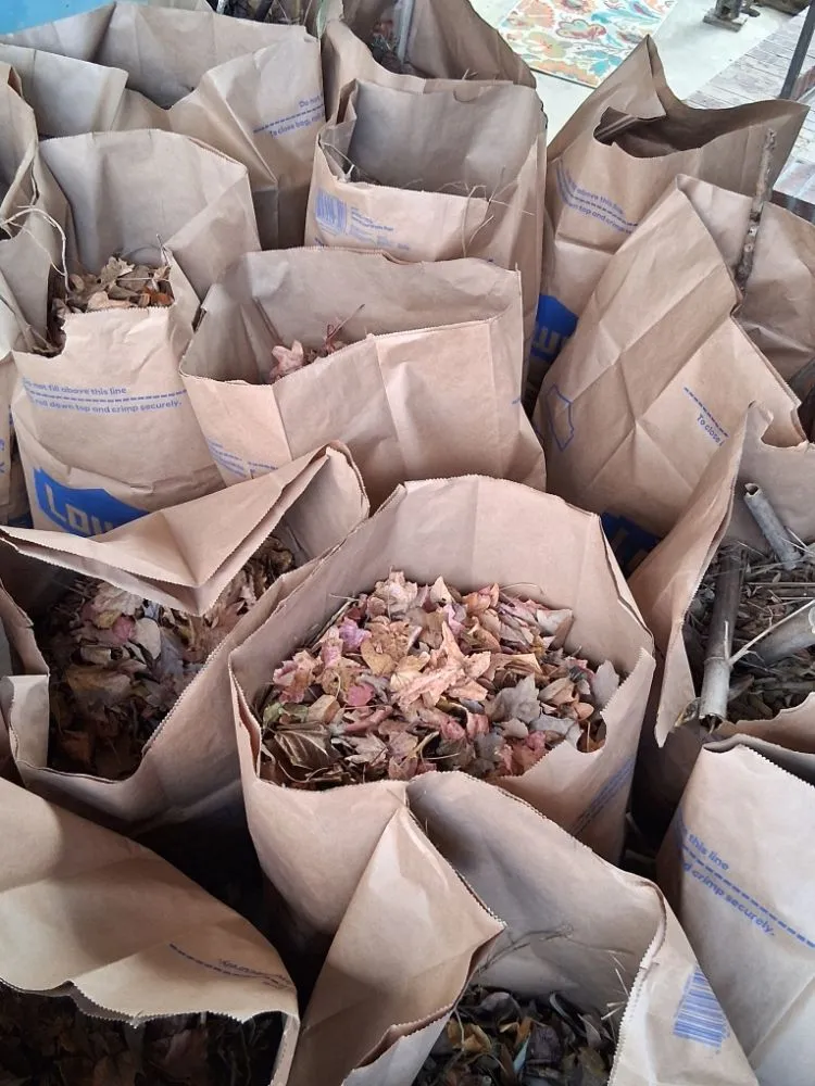 Affordable yard cleanup service in Greensboro, NC - Raking It In Labor Solutions