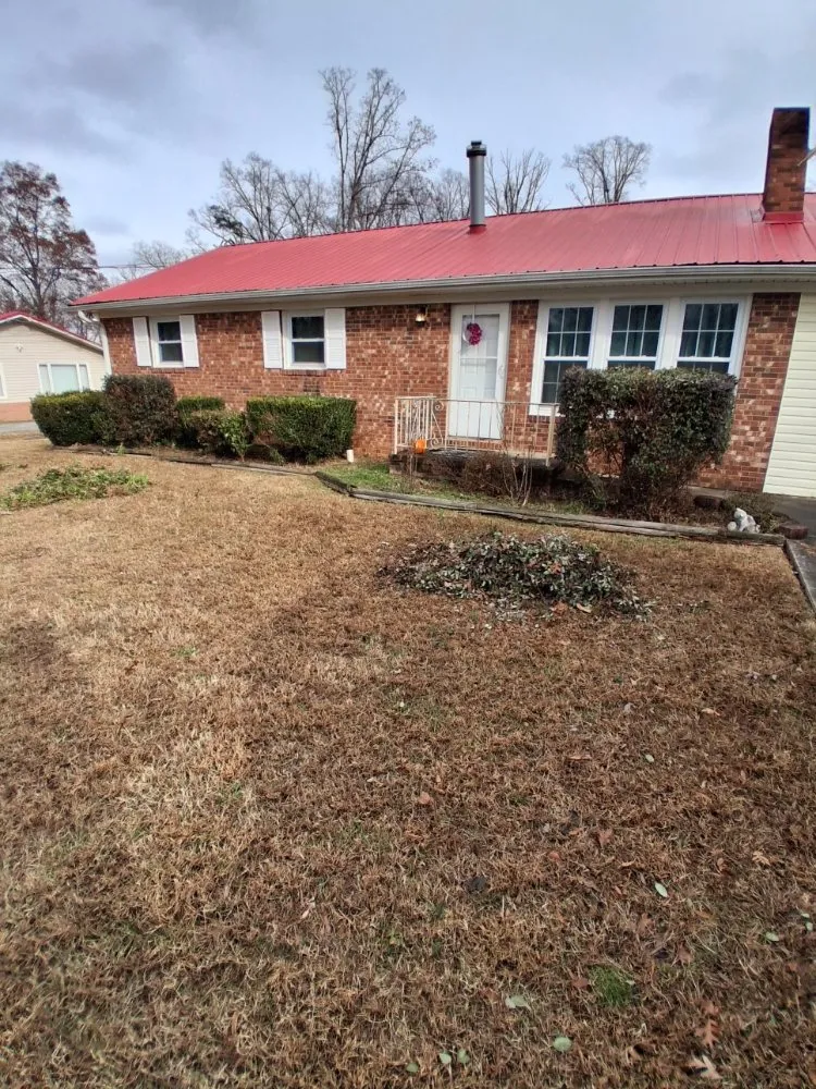 Top-rated yard cleanup service in Greensboro, NC - Raking It In Labor Solutions
