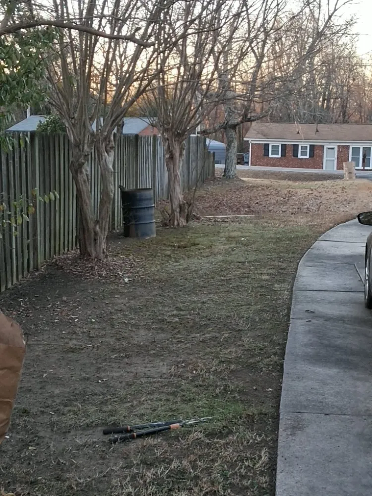 Professional landscaping services for beautiful yards in Greensboro, NC by Raking It In Labor Solutions