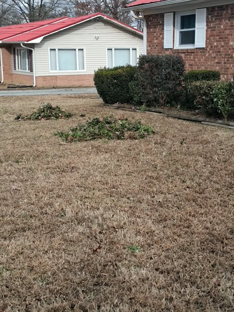 Trusted yard cleanup service in Greensboro, NC - Raking It In Labor Solutions