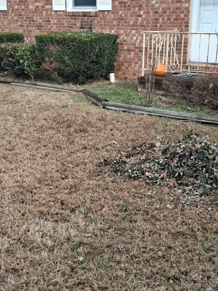 Affordable yard maintenance for homes across Greensboro, NC - Raking It In Labor Solutions