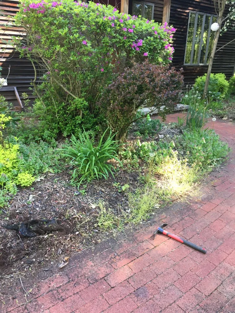 Professional lawn care service for outdoor upgrades across Glens Falls, NY - Raking It In Landscaping