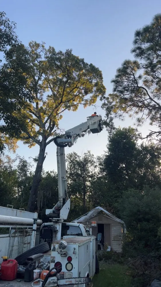 Expert landscaping services experts serving Spring Hill, FL - Raking It In