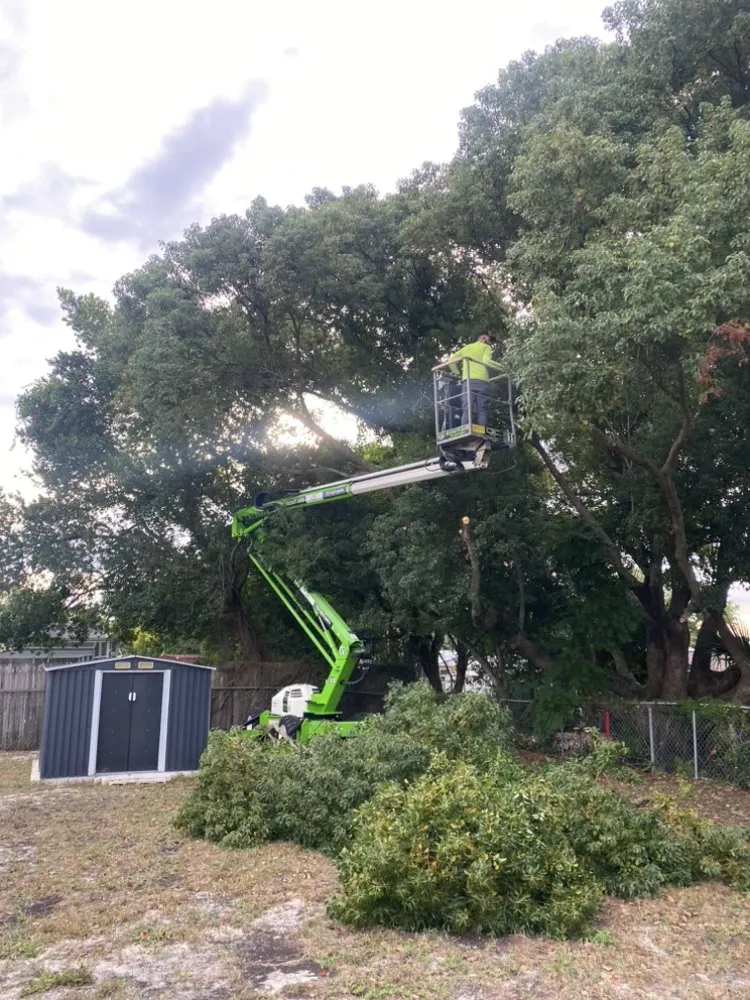 Reliable landscape installation in Spring Hill, FL by Raking It In