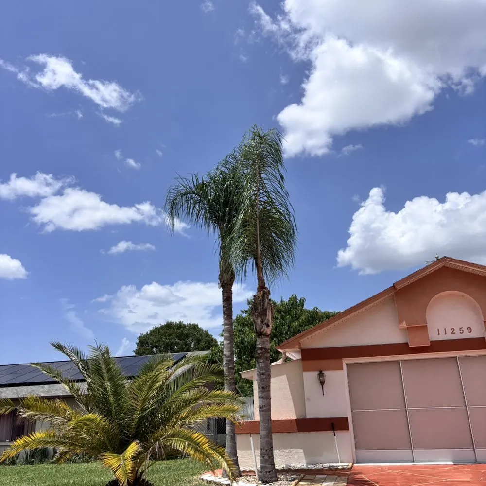 Custom residential landscaping in Spring Hill, FL - Raking It In