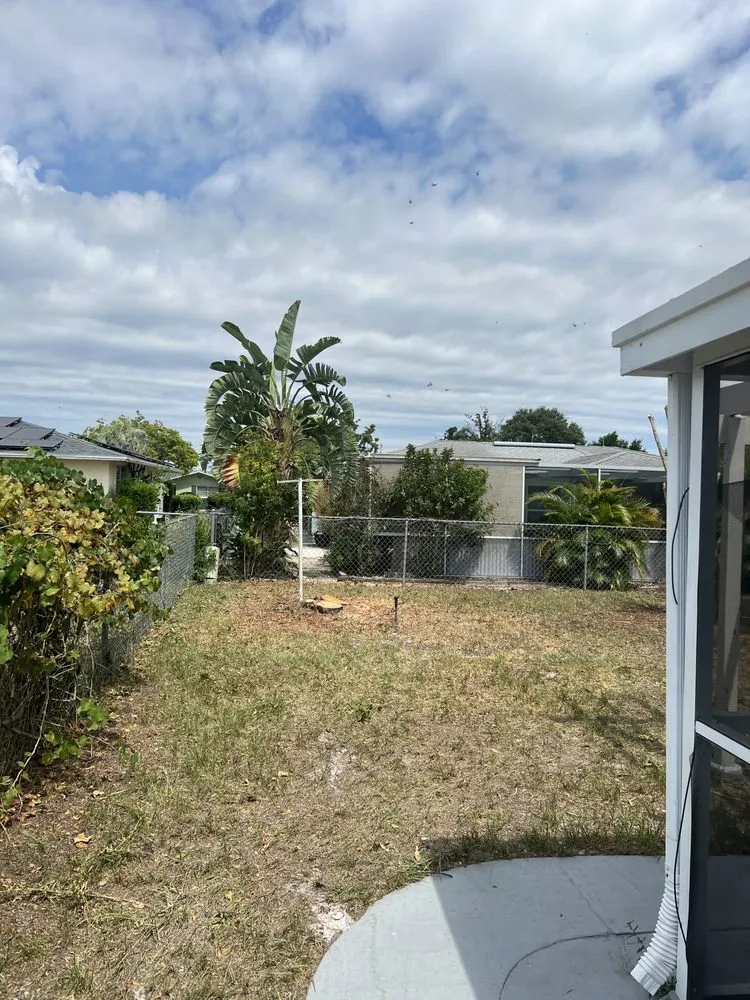 Top-rated yard cleanup service in Spring Hill, FL - Raking It In