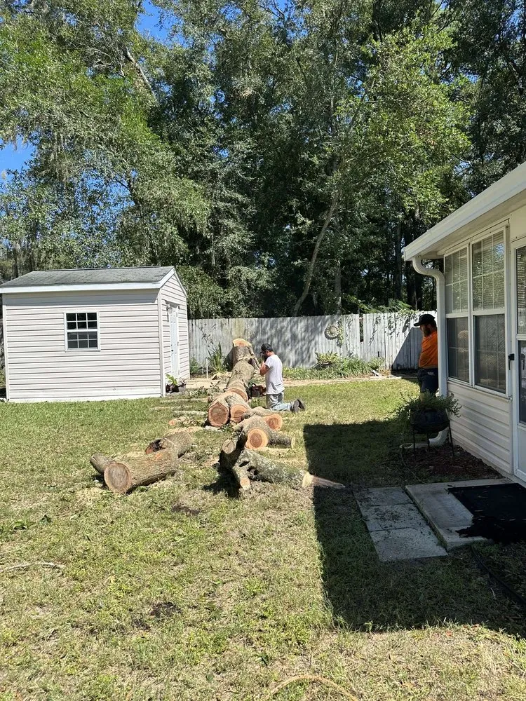 Reliable landscape design for beautiful yards in Spring Hill, FL by Raking It In