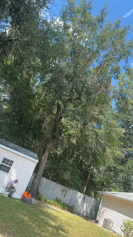 Custom yard cleanup service for year-round maintenance in Spring Hill, FL by Raking It In