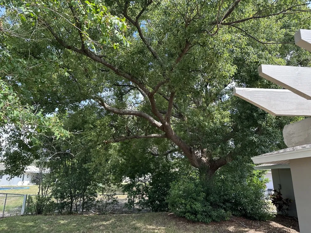 Custom yard cleanup service for beautiful yards in Spring Hill, FL by Raking It In