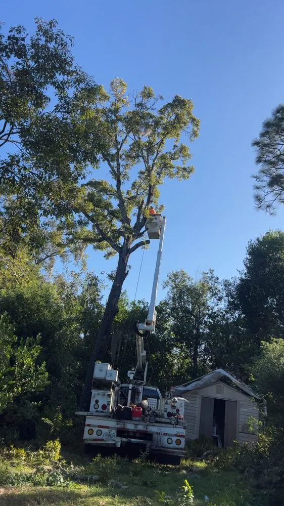 Local residential landscaping for year-round maintenance in Spring Hill, FL by Raking It In