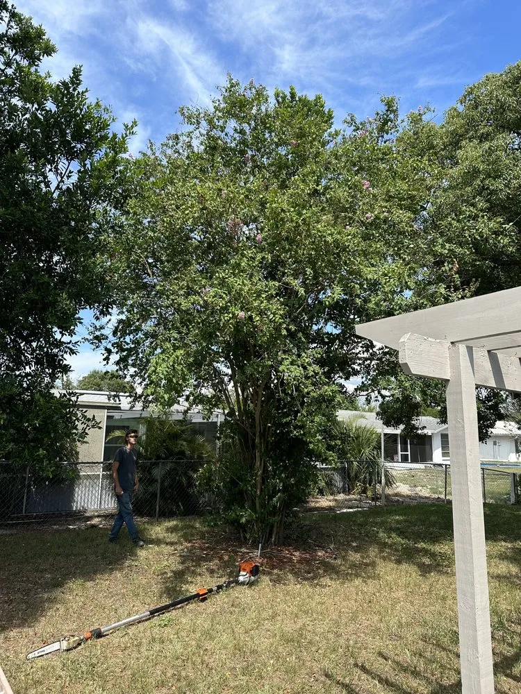 Trusted lawn care service for outdoor upgrades across Spring Hill, FL - Raking It In