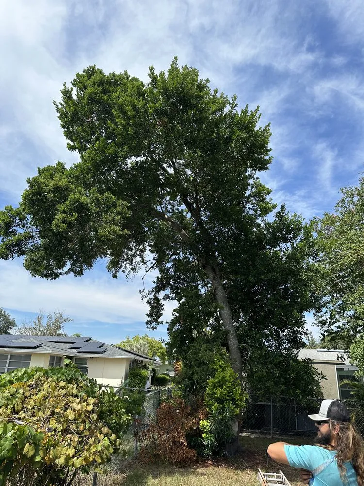 Professional outdoor landscaping with custom design in Spring Hill, FL by Raking It In