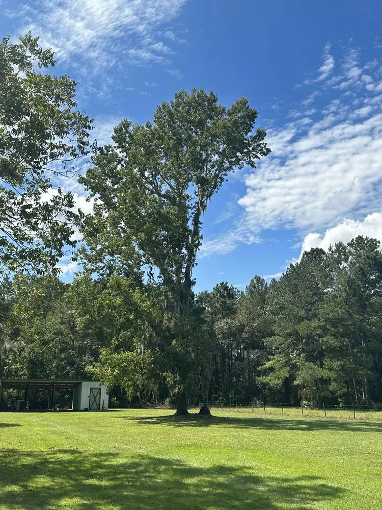 Custom yard maintenance near you in Spring Hill, FL by Raking It In