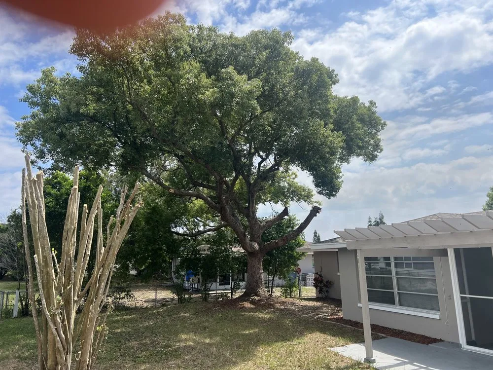 Professional yard cleanup service with custom design in Spring Hill, FL by Raking It In