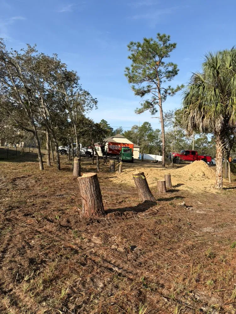 Affordable lawn mowing service for homes across Spring Hill, FL - Raking It In