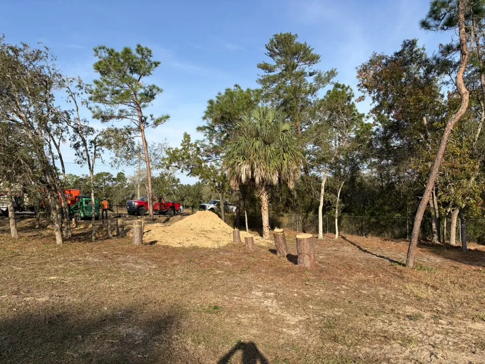 Expert lawn mowing service in Spring Hill, FL - Raking It In