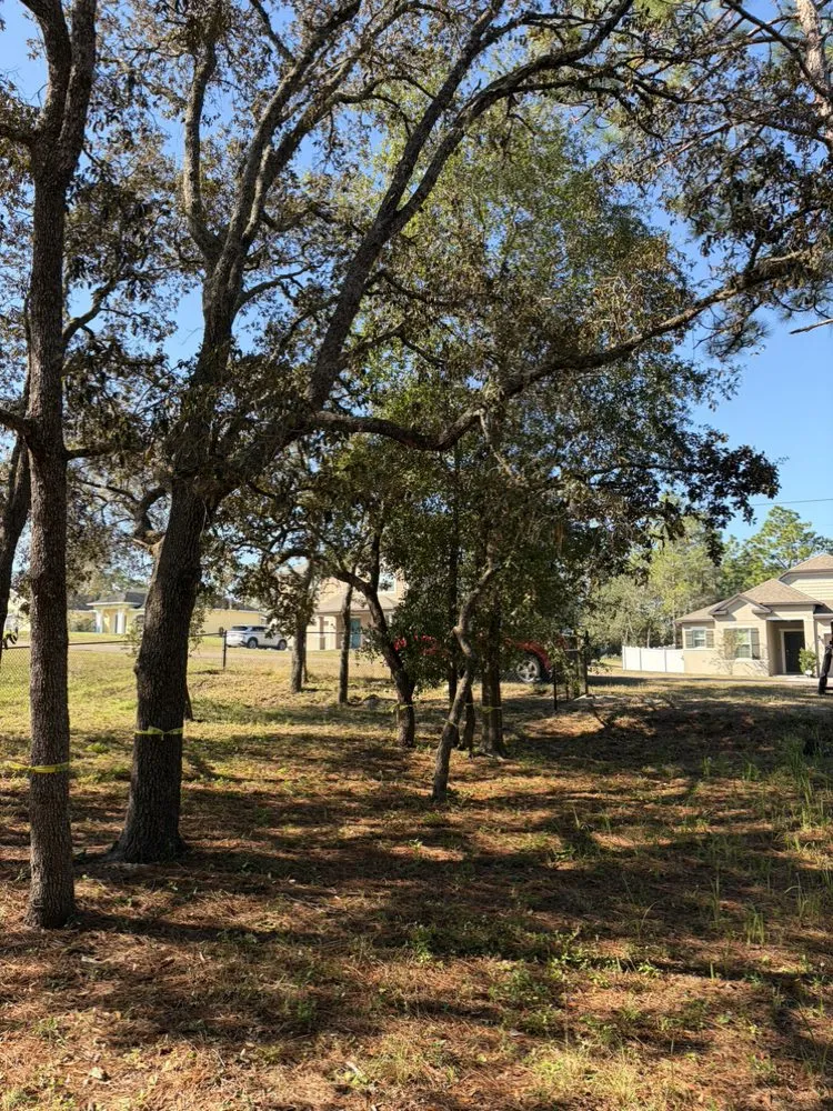 Reliable garden landscaping in Spring Hill, FL - Raking It In