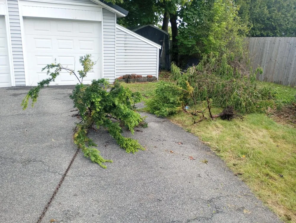 Top-rated residential landscaping for beautiful yards in Gloversville, NY by RAL Business Enterprises