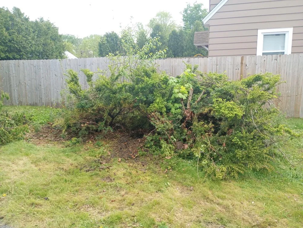 Professional yard cleanup service experts serving Gloversville, NY - RAL Business Enterprises