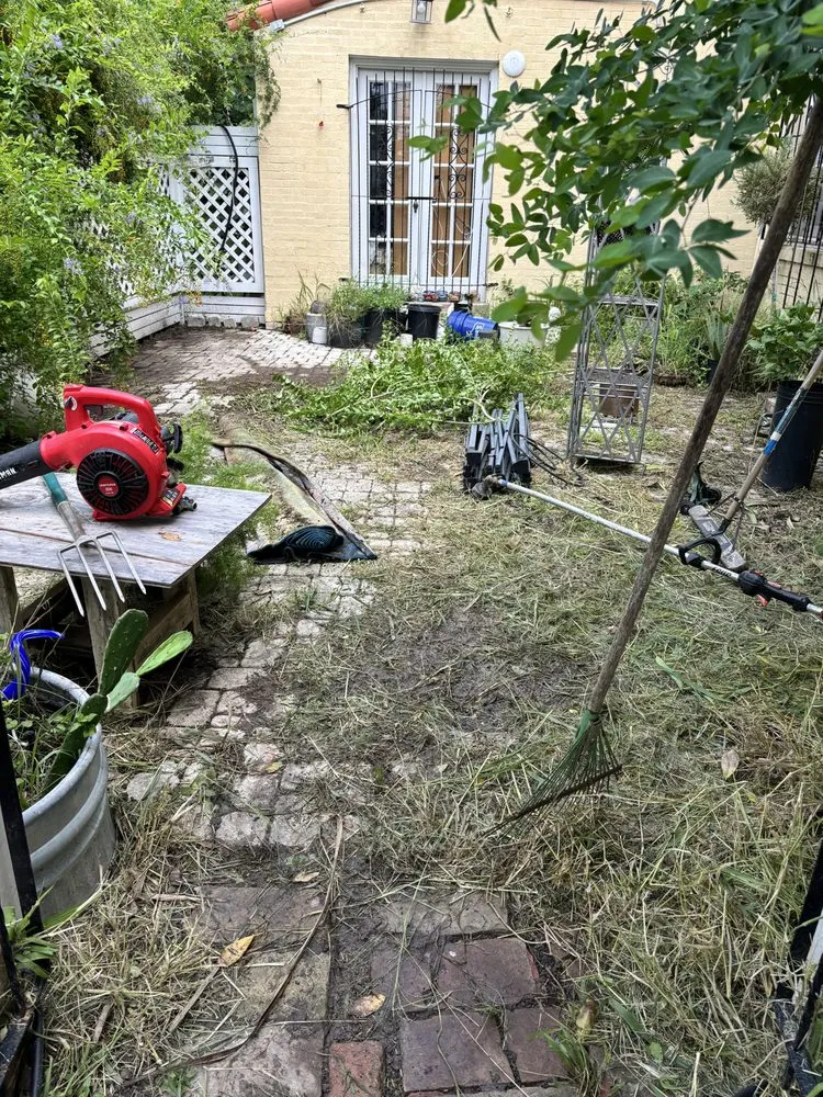 Affordable yard cleanup service experts serving Brownsville, TX - Raúl Dávila Loadscaping