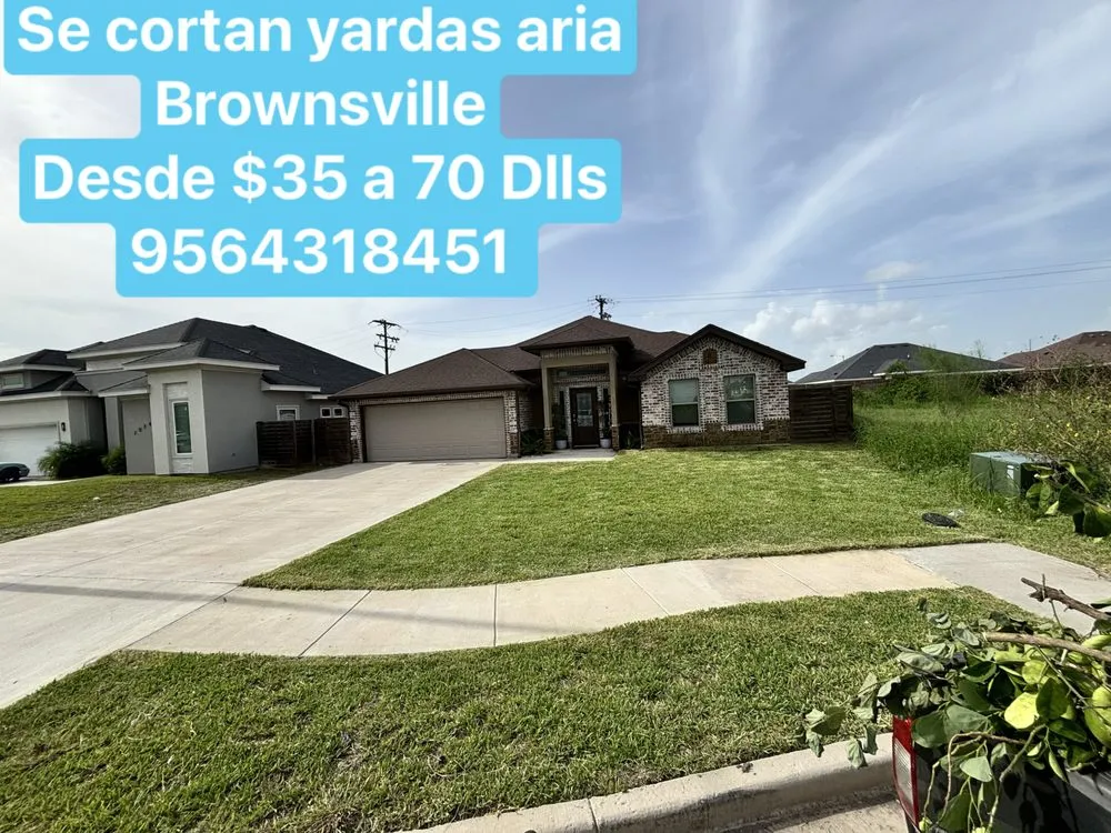 Reliable lawn care service experts serving Brownsville, TX - Raúl Dávila Loadscaping
