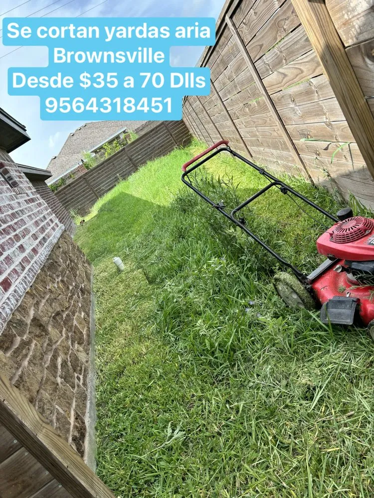 Reliable yard cleanup service experts serving Brownsville, TX - Raúl Dávila Loadscaping