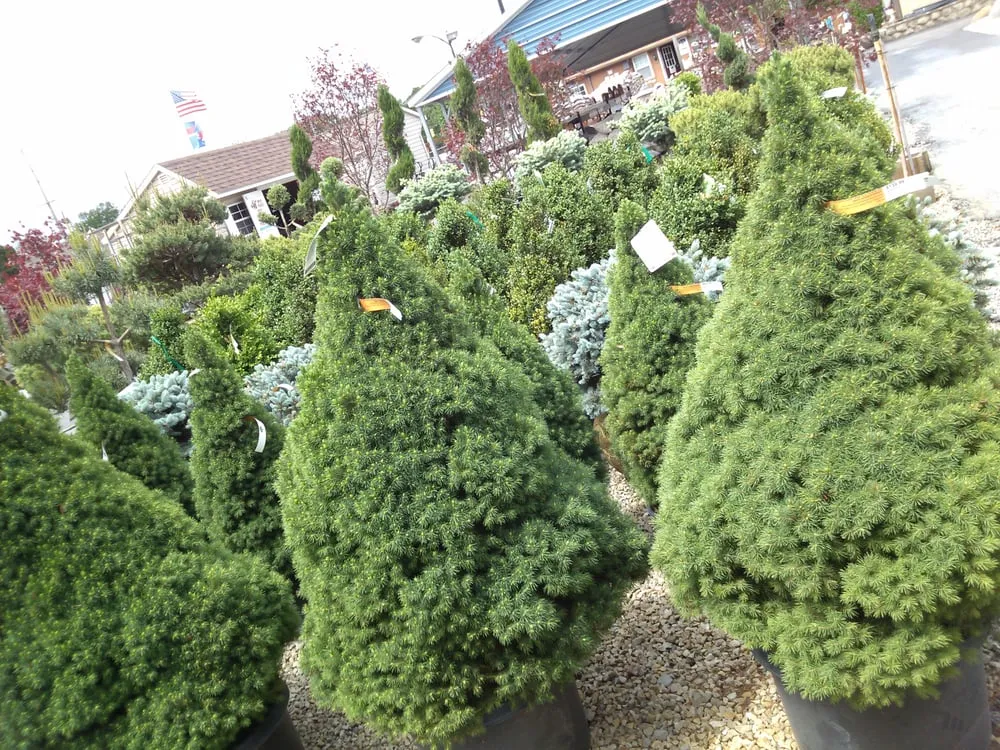 Top-rated lawn care service in Crown Point, IN by RAL Landscaping & Garden Center