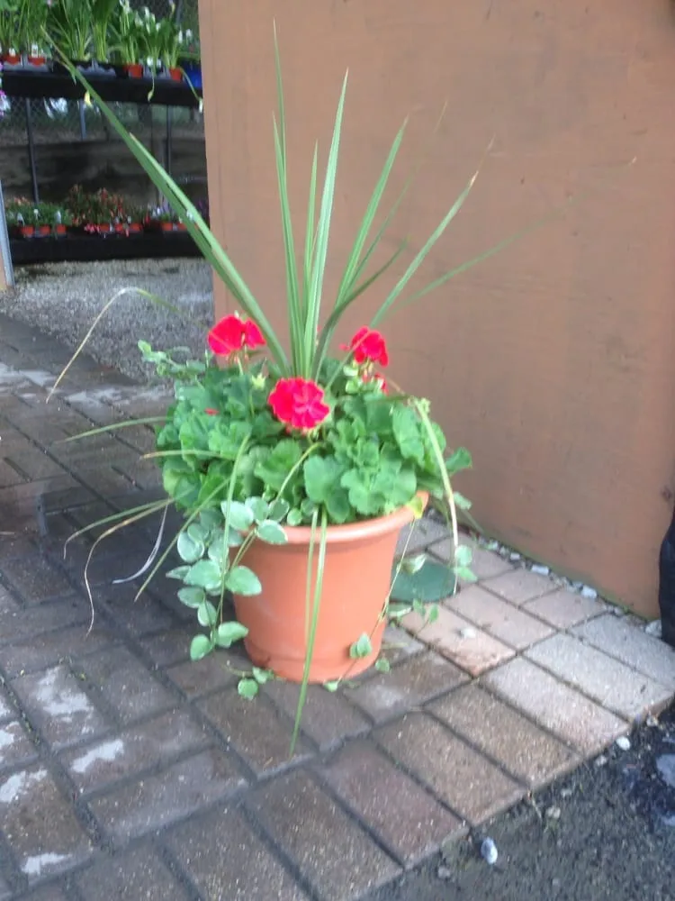 Custom landscape design for homes across Crown Point, IN - RAL Landscaping & Garden Center