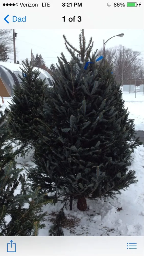 Top-rated garden landscaping in Crown Point, IN by RAL Landscaping & Garden Center