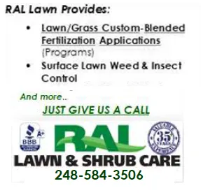 Trusted yard cleanup service in Hazel Park, MI - Ral Lawn & Shrub Care