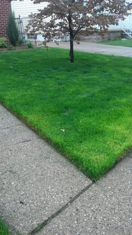 Top-rated yard maintenance experts serving Hazel Park, MI - Ral Lawn & Shrub Care