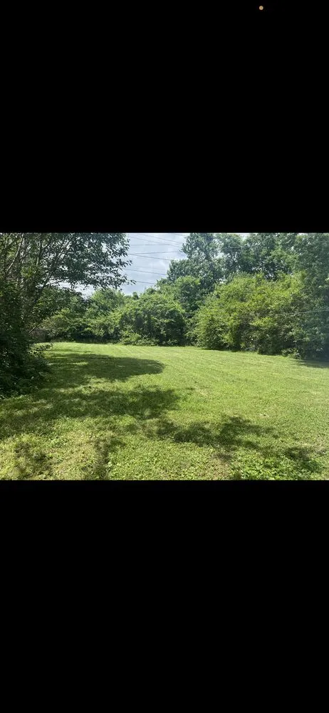 Custom yard cleanup service experts serving Clarksville, TN - Raleigh Lawn Care