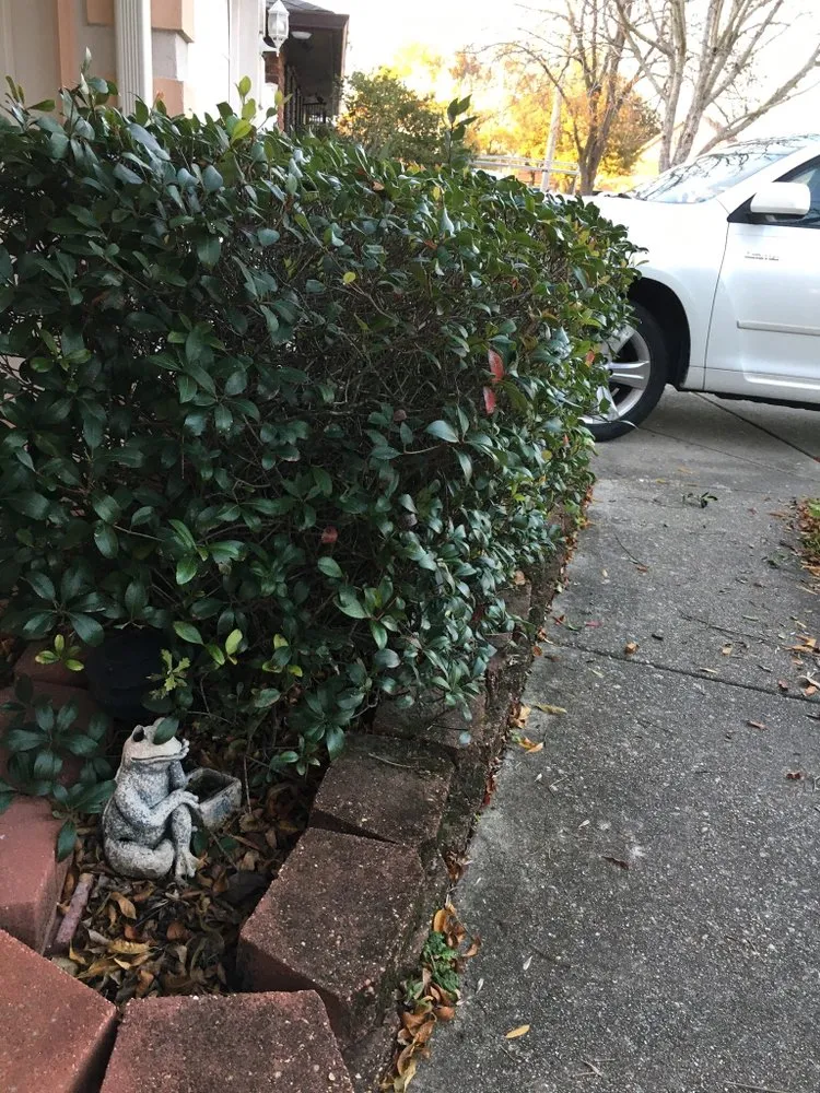 Professional lawn mowing service in Jefferson, LA by R.Allen's Lawn Care, Landscaping,and Complete Yard Maintenance