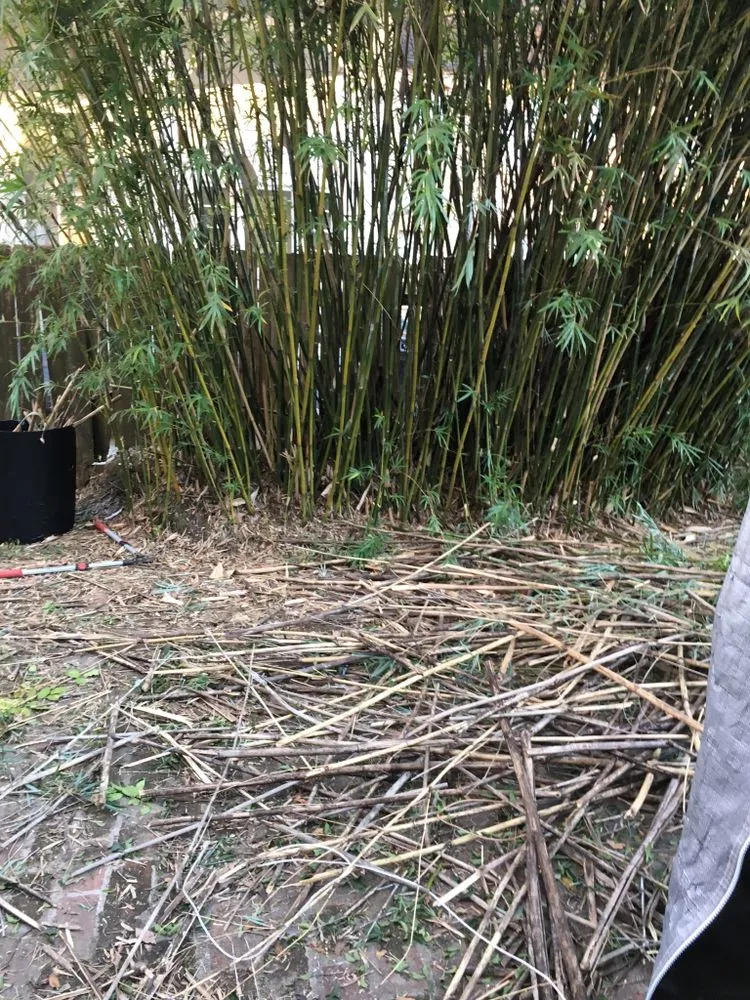 Top-rated residential landscaping in Jefferson, LA by R.Allen's Lawn Care, Landscaping,and Complete Yard Maintenance