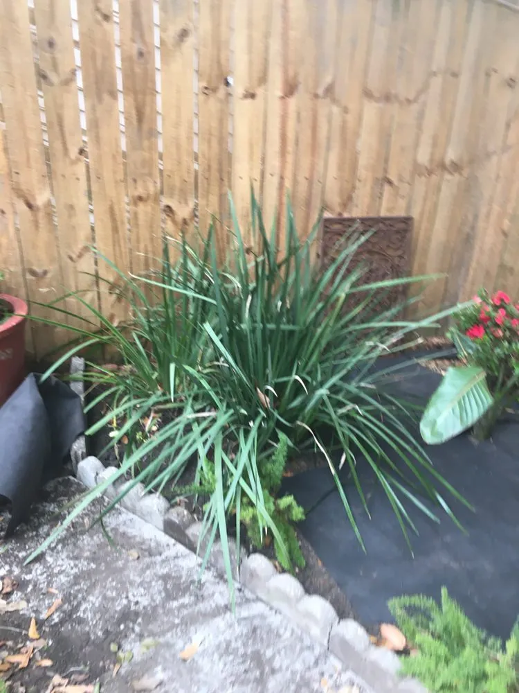 Local yard cleanup service experts serving Jefferson, LA - R.Allen's Lawn Care, Landscaping,and Complete Yard Maintenance